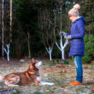 Becoming teh Alpha Dog and Be Your Dogs Pack Leader